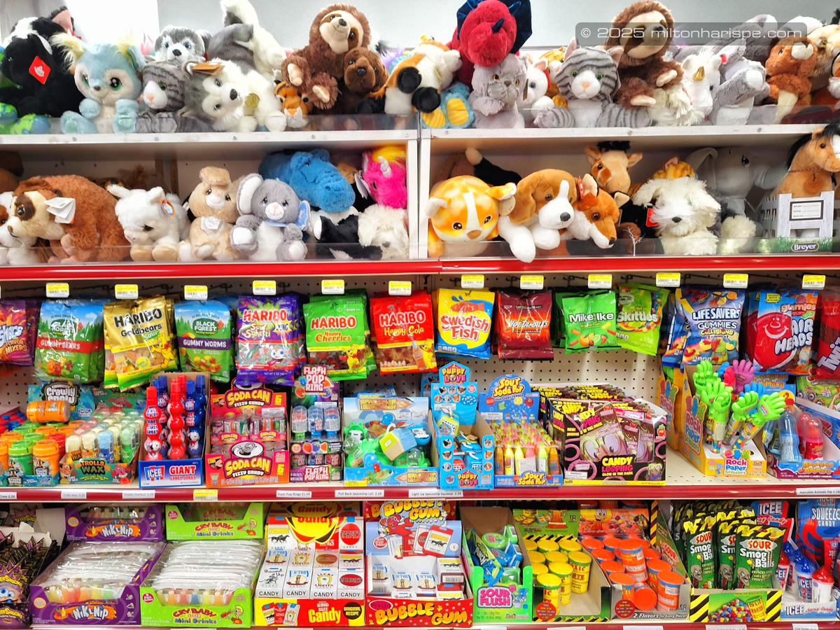 028 20230616 175657 Edit